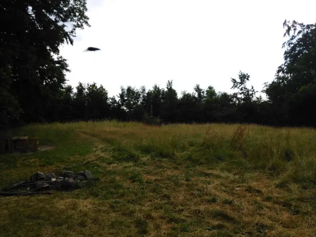 Ufo?