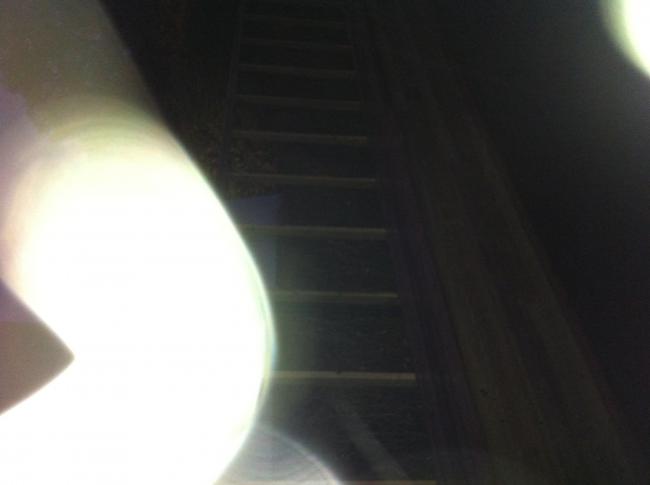 Végül is nem tudom mi ez. Amit lefotóztam, az engem is meglepett!