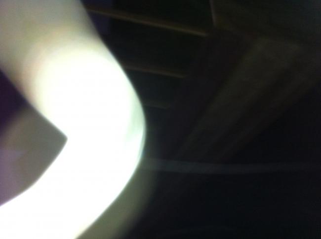 Végül is nem tudom mi ez. Amit lefotóztam, az engem is meglepett!