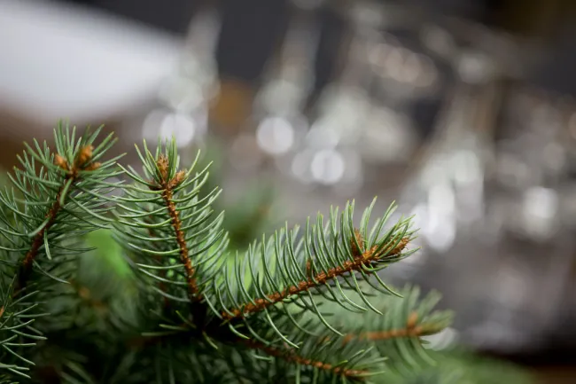 Jó hangulatban telt 2012 utolsó Galaktika Baráti Kör klubestje
