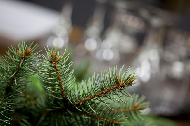 Jó hangulatban telt 2012 utolsó Galaktika Baráti Kör klubestje