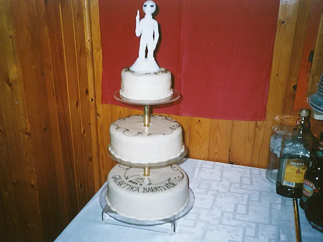 Galaktika Nap 2004