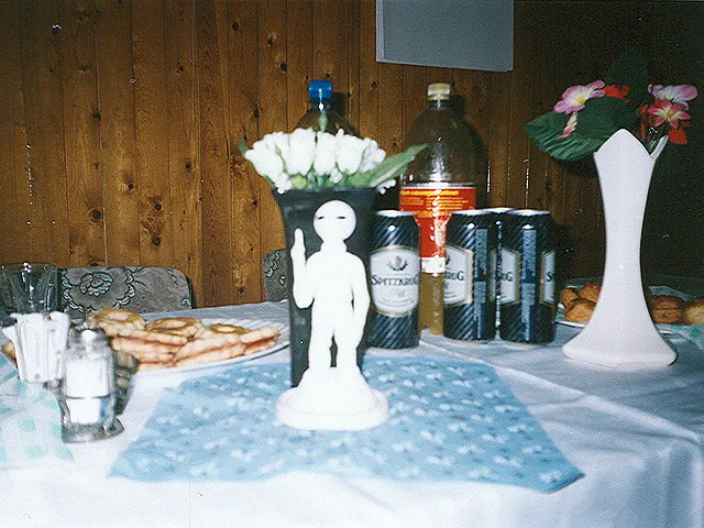 Galaktika Nap 2004