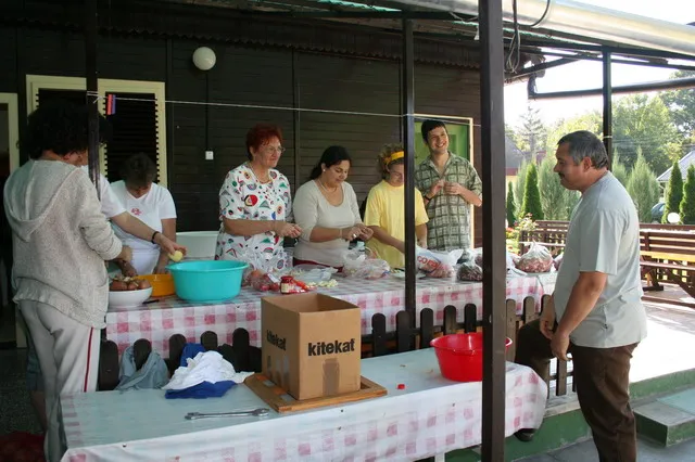 Galaktika Nap 2006