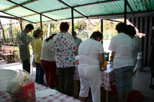 Galaktika Nap 2006
