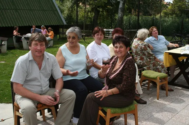 Galaktika Nap 2006