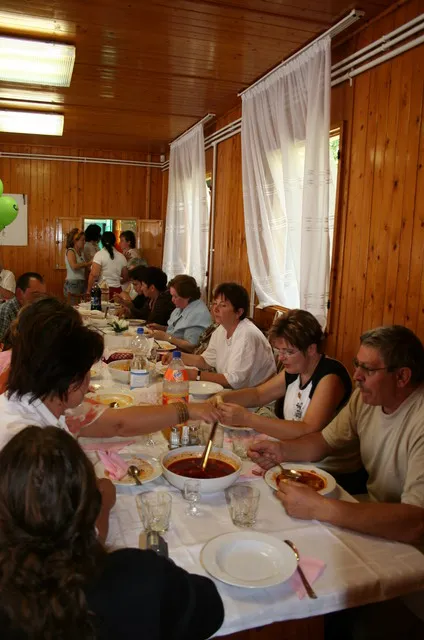 Galaktika Nap 2006