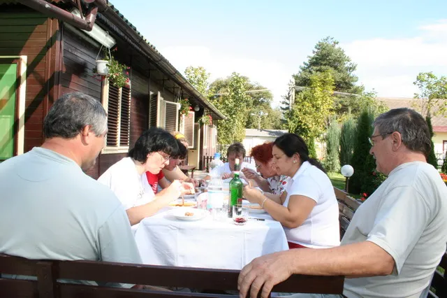 Galaktika Nap 2006