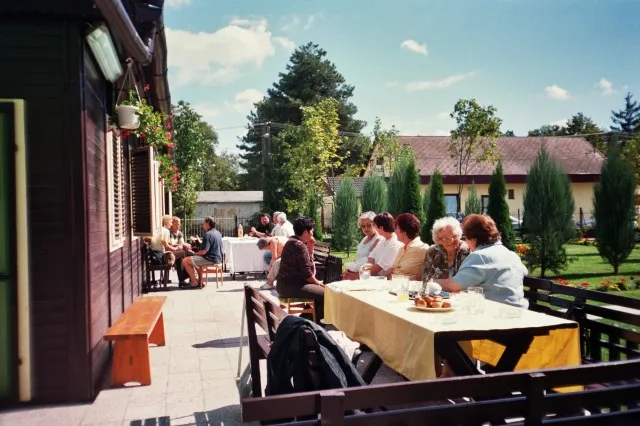 Galaktika Nap 2006