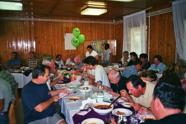 Galaktika Nap 2006
