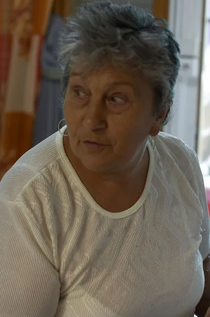 Galaktika Nap 2007
