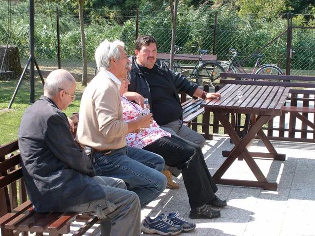 Galaktika Nap 2008