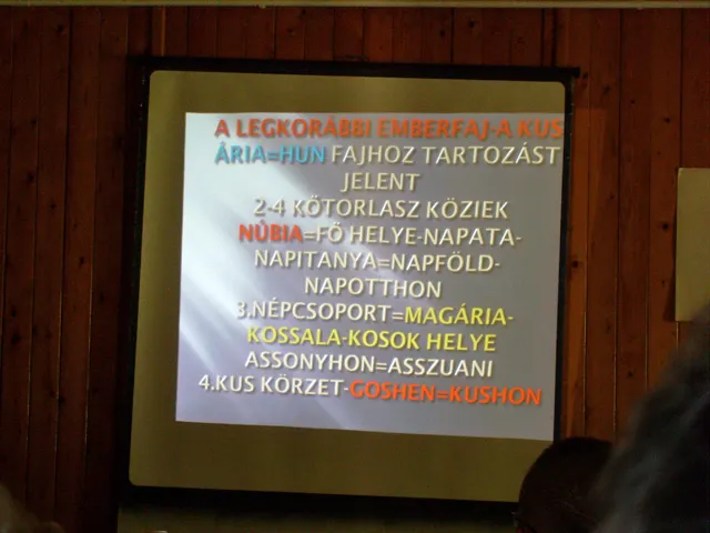 Galaktika Nap 2008