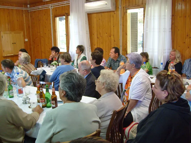 Galaktika Nap 2008
